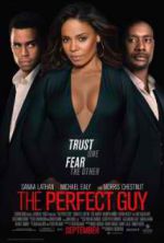 Watch The Perfect Guy 123MovieFree