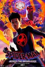 Watch Spider-Man: Across the Spider-Verse 123MoviesFree