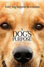 Watch A Dog's Purpose 123MoviesFree
