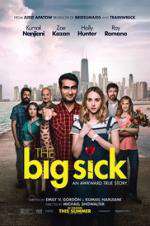 Watch The Big Sick 123MovieFree