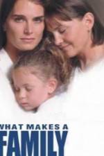 Watch What Makes a Family 123MovieFree