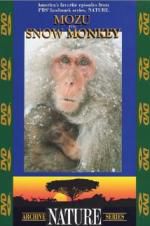 Watch Ireland\'s Wild River 123MoviesFree