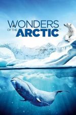 Watch Wonders of the Arctic 123moviesfree