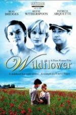 Watch Wildflower 123MovieFree