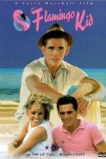 Watch The Flamingo Kid 123MovieFree