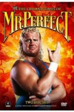 Watch The Life and Times of Mr Perfect 123MovieFree