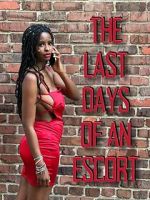 Watch The Last Days of an Escort 123moviesfree