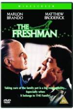 Watch The Freshman 123MoviesFree