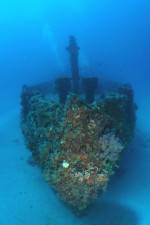 Watch The Wreck 123MovieFree