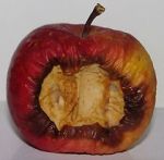 Watch Bad Apples (Short 2006) 123moviesfree