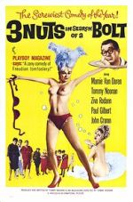Watch 3 Nuts in Search of a Bolt 123MovieFree