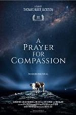 Watch A Prayer for Compassion 123moviesfree