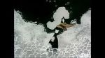 Watch Ain\'t that Ducky (Short 1945) 123MovieFree