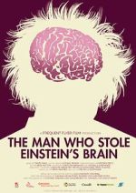 Watch The Man Who Stole Einstein\'s Brain 123moviesfree