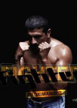 Watch Fighter 123MovieFree