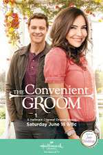 Watch The Convenient Groom 123MovieFree