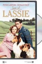 Watch Son of Lassie 123MoviesFree
