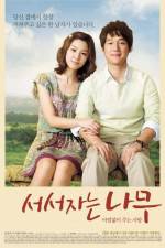 Watch Sleeping Tree 123MovieFree