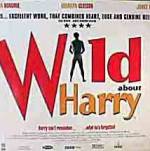 Watch Wild About Harry 123MovieFree