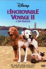Watch Homeward Bound II Lost in San Francisco 123MovieFree