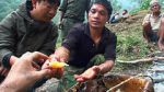 Watch Hallucinogen Honey Hunters (Short 2011) 123MovieFree