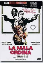 Watch The Italian Connection 123MoviesFree
