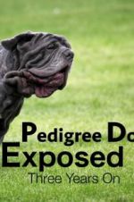 Watch Pedigree Dogs Exposed, Three Years On 123moviesfree