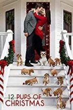 Watch 12 Pups of Christmas 123MovieFree