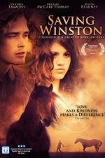 Watch Saving Winston 123MovieFree
