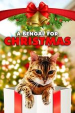 Watch A Bengal for Christmas 123MoviesFree