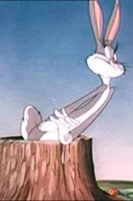 Watch The Unruly Hare 123MovieFree