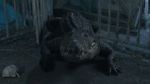 Watch Croc! 123MovieFree