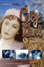 Watch Die Frau aus Chicago 123MovieFree