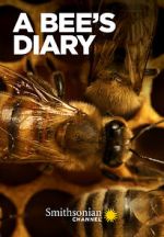 Watch A Bee\'s Diary (TV Special 2022) 123moviesfree