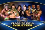 Watch WWE Hall of Fame 123moviesfree
