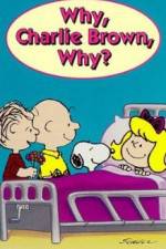 Watch Why Charlie Brown Why 123MoviesFree