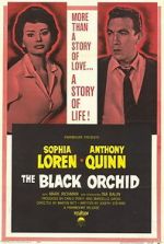 Watch The Black Orchid 123MoviesFree