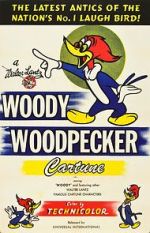 Watch The Woody Woodpecker Polka 123MovieFree