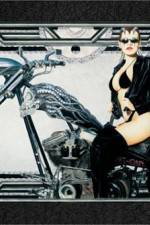 Watch Run Angel Run 123MovieFree