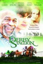 Watch The Derby Stallion 123MovieFree