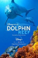 Watch Dolphin Reef 123moviesfree