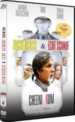 Watch Cheeni Kum 123MovieFree