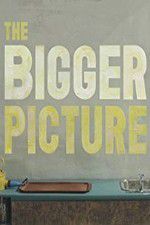 Watch The Bigger Picture 123MovieFree