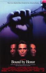 Watch Blood In, Blood Out 123MoviesFree