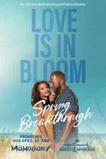Watch Spring Breakthrough 123MoviesFree
