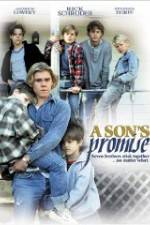 Watch A Son's Promise 123MovieFree