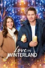 Watch Love in Winterland 123MovieFree
