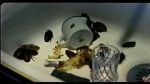 Watch Coup de lune (TV Short 2000) 123MovieFree
