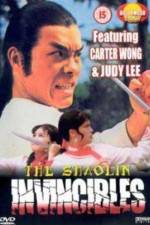 Watch Yong zheng ming zhang Shao Lin men 123MovieFree