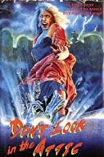 Watch Don\'t Look in the Attic 123MoviesFree
